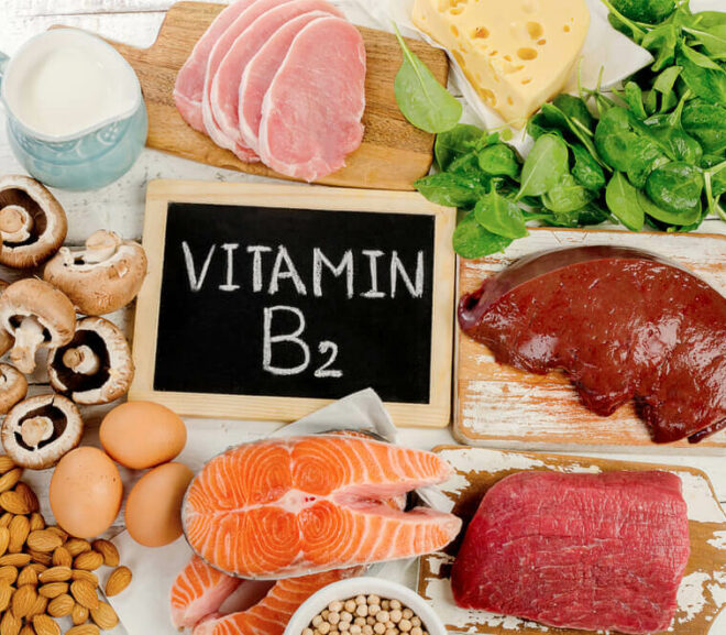 Vitamin B2 là gì? Vitamin B2 có trong thực phẩm nào? 