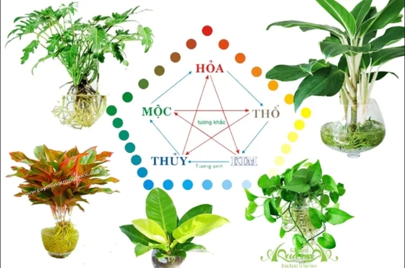 Các màu nóng thuộc hành Hỏa thường không phải nhóm ưu tiên cho người mệnh Kim