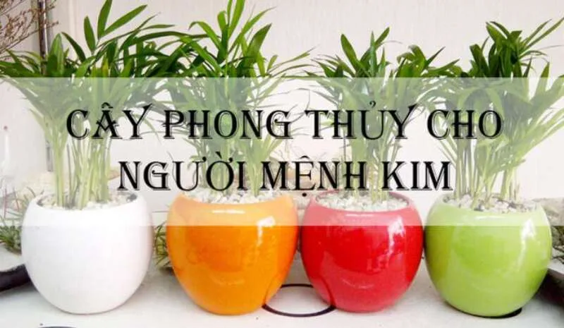 Người mệnh Kim thường hợp với không gian gọn gàng, sáng màu và thanh lịch