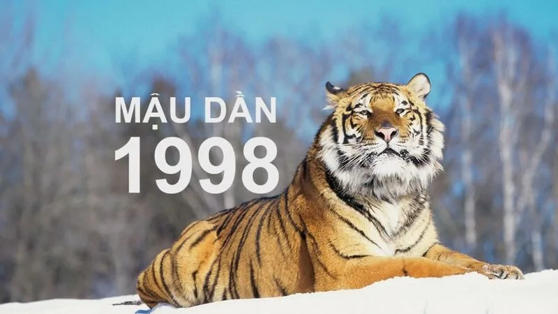 Nam sinh năm 1998 thuộc mệnh Thổ, nạp âm Thành Đầu Thổ, tượng trưng cho sự vững vàng.